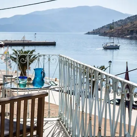 Villa Palm Mansion *